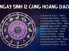 Cung Hoàng Đạo: Tính Cách và Đặc Điểm Độc Đáo của 12 Cung